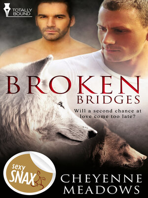 cover image of Broken Bridges
